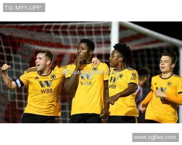 英超聚焦羽毛球深圳羽毛球队的意识与发展探讨