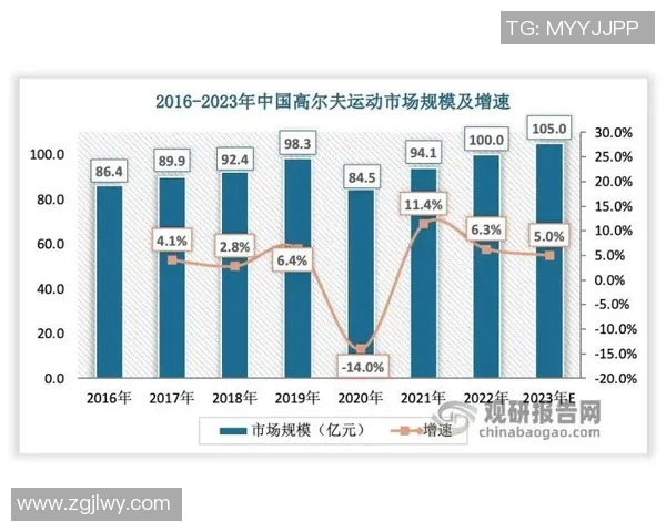 武汉篮球队技术分析与战术创新的深度探讨与展望